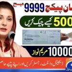 Shehbaz Sharif’s Ramadan 2025 Relief Package: Eligibility & Apply